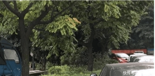  孤身|女子孤身走夜路被拖小树林, 中途看清真容男子不动了!