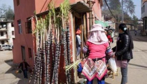 甘蔗的时|南方大妈另类卖甘蔗,原价5元,简单加工后,就卖20元的“天价”