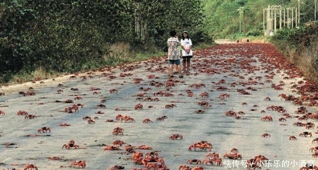 国家|德国人快愁哭了:为什么你们非要来我们国家,不去找中国