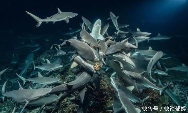 视效|仅4个人,拍出了今年最顶级的视效大片