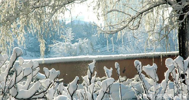 冬至|我们只能在冬至吃饺子吗看看全国各地的吃什么~