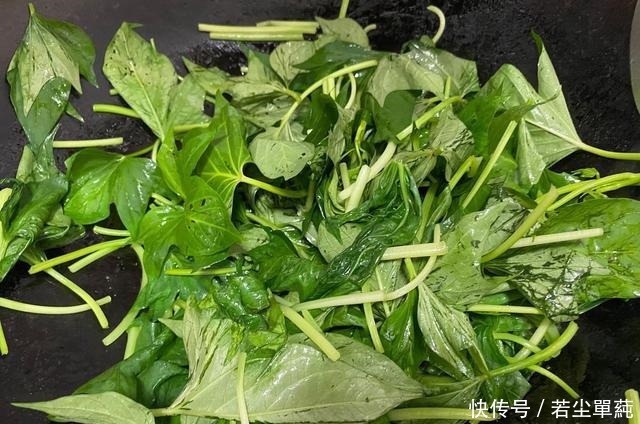 满地|秋天后,这菜别错过,农村满地没人要,城里人却当宝,能润肠通便