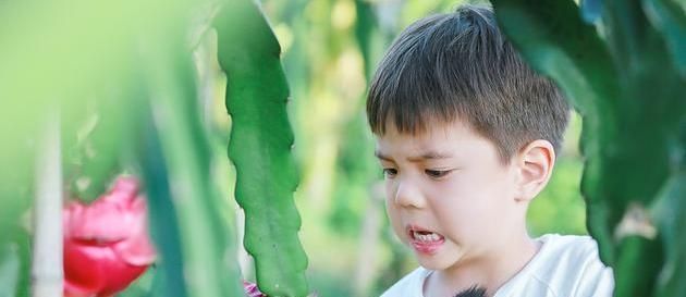  希望|原生家庭对一个孩子的成长有多重要学学杜江夫妻最完美父母理论