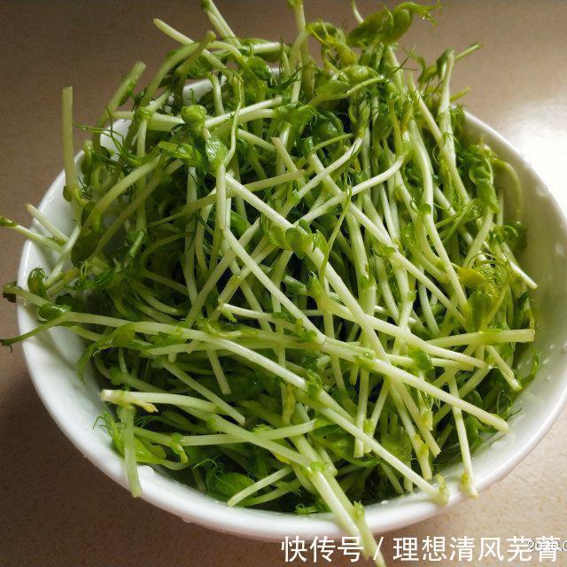  鸡腿|凉拌鸡丝，夏季最爱的凉拌菜，没有之一