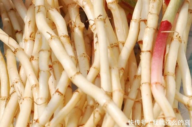 爱吃|6种“难吃”的食物,有些好吃得不行,最后一种看到都怕!