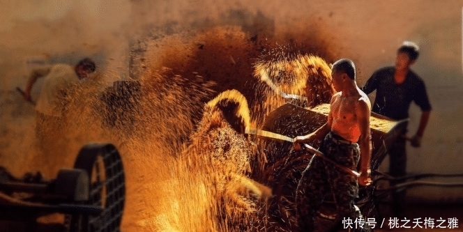 度数|白酒小知识, 喝了多年白酒, 才了解到这个度数最好