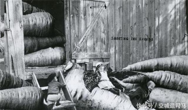  母鸡|原来美国历史上也发生过“大跃进”，母鸡可以拉车，兔子比熊还大