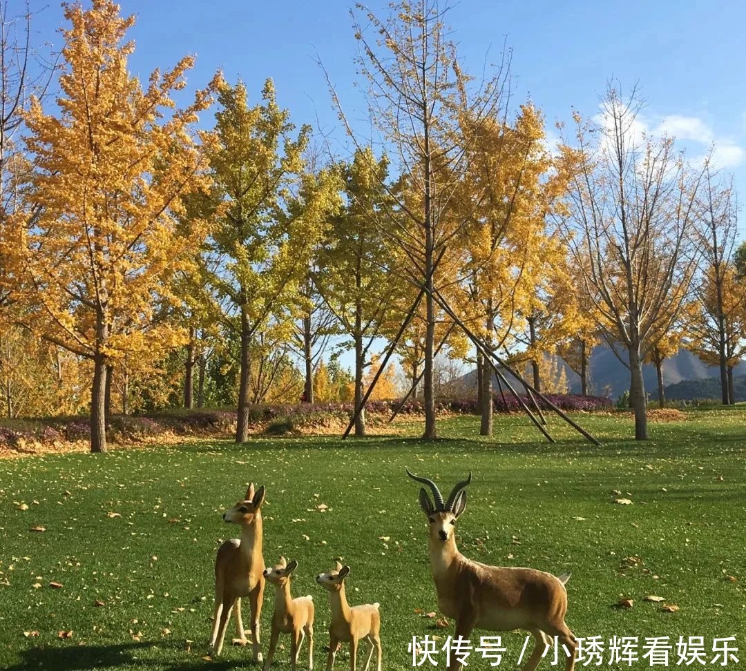 山自然风景|北京这八个避暑胜地强烈推荐，解锁旅游新姿势！