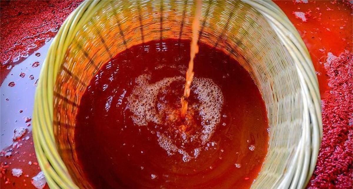 方法|真全粮杨俊丽：红曲酒的酿制方法，红曲发酵工艺酿酒教程