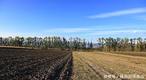 伪满洲国|日本的傀儡——伪满洲国,为何能够成为当时亚洲第一大经济体?