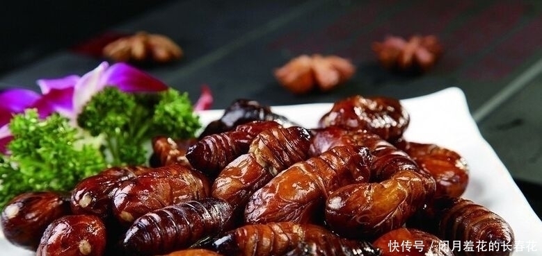 中国美食|5道最“残忍”的美食前两个能忍,最后一个忍不了