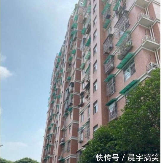  翻遍|女子失踪过半月，其嫂否认夫妻关系恶劣，警方翻遍周边洗衣机冰箱