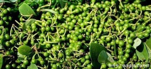 咸丰|在咸丰吃饭,我被山胡椒迷了魂!