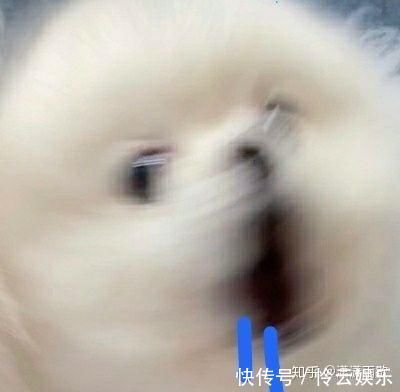 梦迪|如何评价《这就是街舞》第三季第二期中王一博的表现