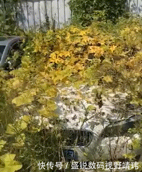  到底|搞笑GIF：美女别再拍了，饭到底还做不做了