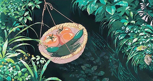  有毒|这3种蔬菜，越新鲜越有毒，吃多了甚至会致命！尤其是第一种