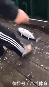 gif|搞笑gif:为了藏5元私房钱,又逼疯了一个