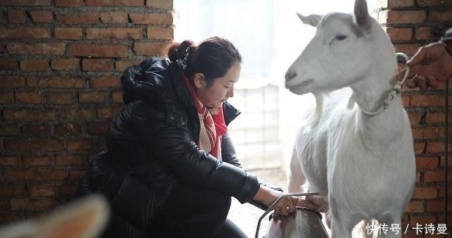 深山|女大学生深山养猪，父亲霸气催婚，农村女孩怎么了，父母这么恨嫁