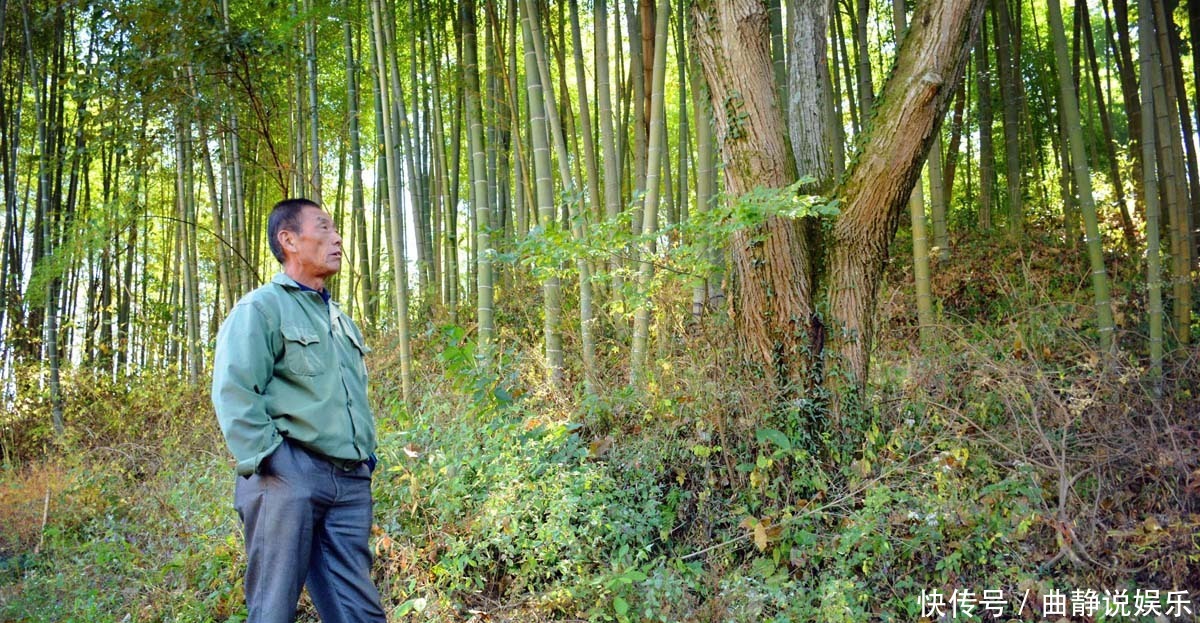 山村|山村村民在外打工,漂亮楼房无人住,64岁大爷来此“上了瘾”