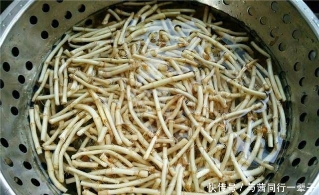 到处|天然青霉素。清热解毒,消炎生火。南方农村到处都是