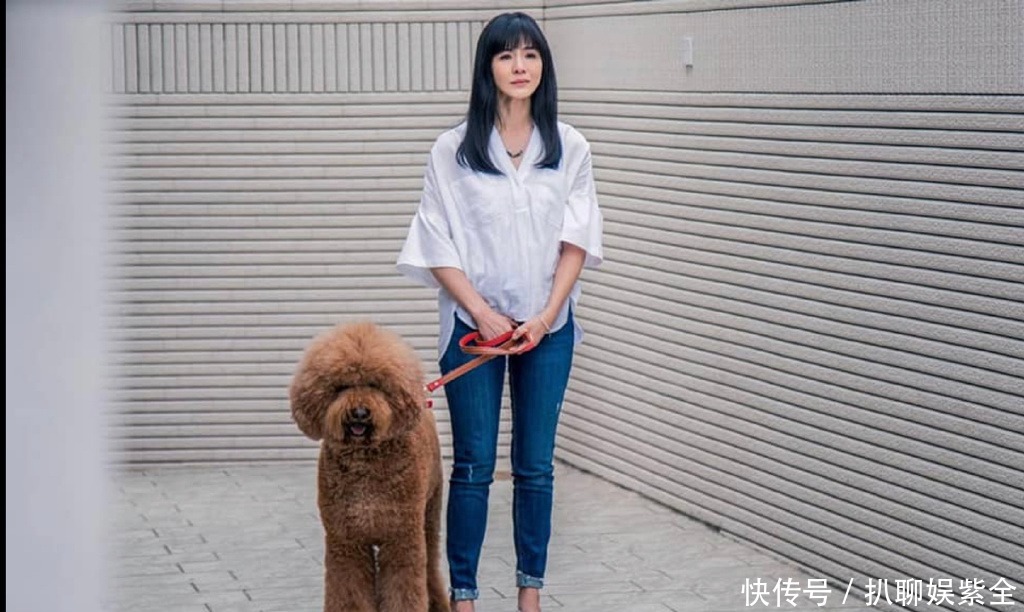  迟暮|美人不迟暮！杨采妮的图集