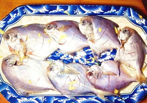 营养|遇到这鱼不手软,20元1斤贵点,但肉多刺少营养高,适合老人孩子