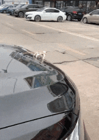  大叔|搞笑GIF：这位大叔，你也太厉害了！这东西可是不轻！