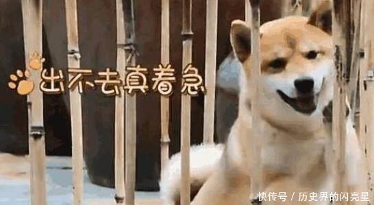 穿帮|《向往的生活2》被批多处穿帮造假,导演9个字说出了节目真相!