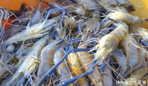 泛滥成灾|小龙虾跌落神坛,被“淡水虾王”取代,吃货尝过后:再见,小龙虾!