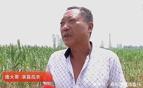 倒赔|西瓜被偷却倒赔小偷300元，瓜农哭诉：偷吧，以后再也不敢阻拦了