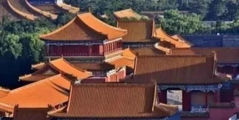 感叹|为什么故宫的屋顶上看不到鸟粪? 专家研究后, 感叹: 古人太聪明了