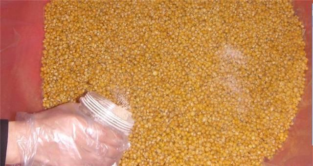  方法|包谷酒传统工艺与新工艺酿酒技术的两种酿制方法