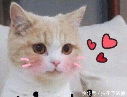 欢乐|看到《欢乐喜剧人》你笑了的云版本,你感到尴尬吗?