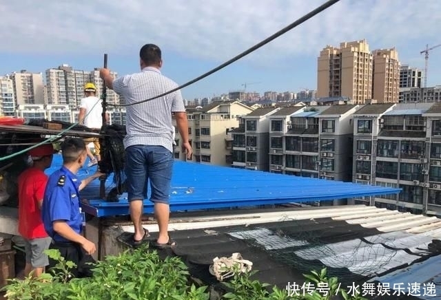  违章|顺庆依法拆除一批违章搭建，快看有你家小区吗？