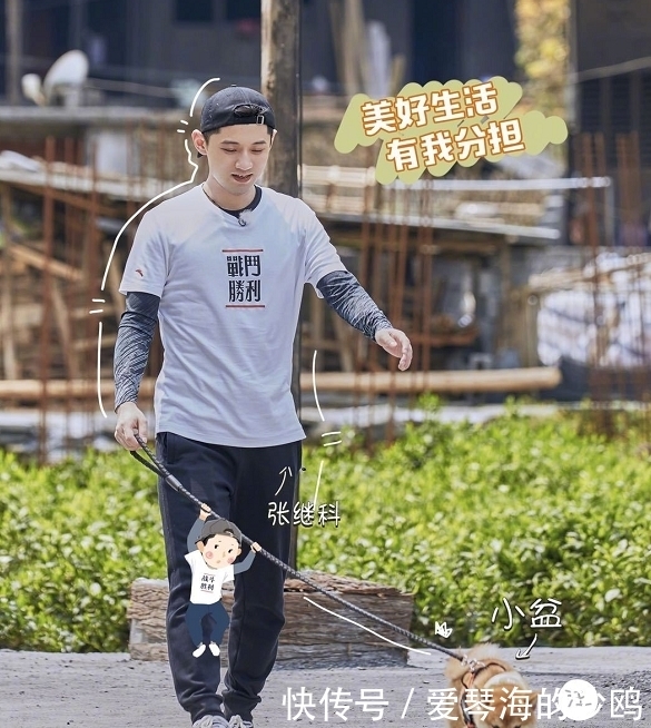 张继科|《做家务的男人》张继科家的狗亮了,原来竟是《向往》中的盆儿