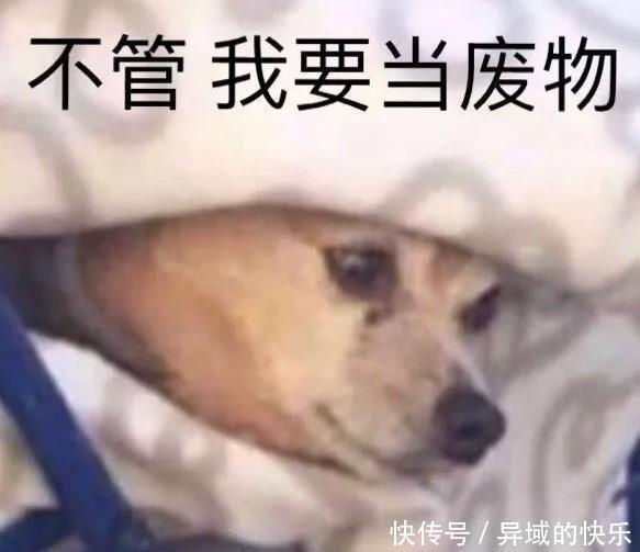 手镯|幽默笑话:大师,你这个手镯我很喜欢,多少钱,卖给我吧