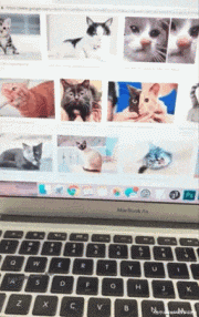 GIF|搞笑GIF:不是爱抽烟吗?来来来!