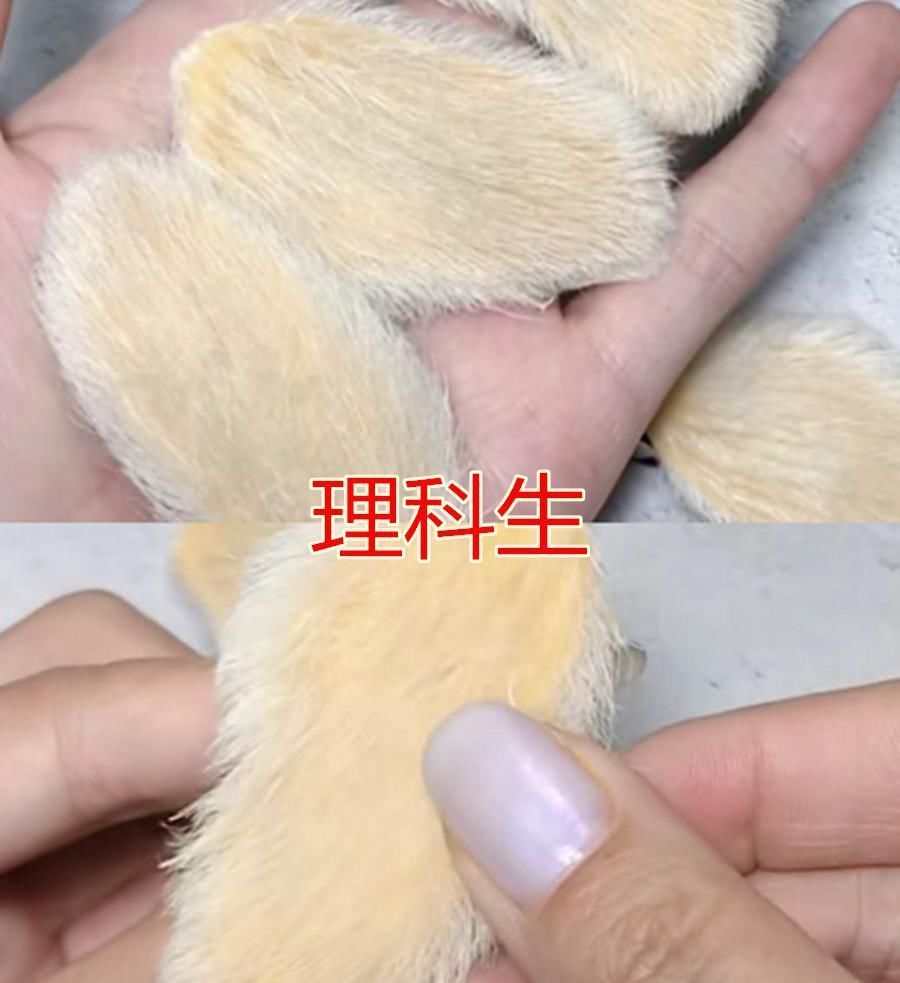  VS|“芒果发卡”风很大理科生VS体育生，看到美术生的不怕下雨吗