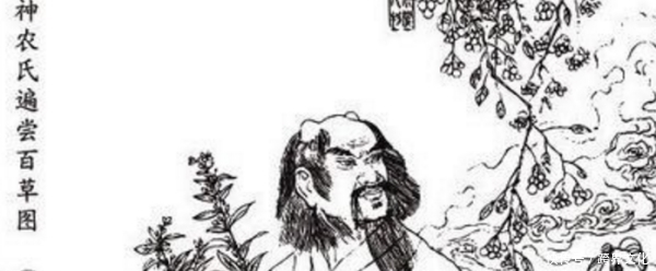 有没有|夏日禁忌,夏日最不能喝的几种茶!!!看看你有没有中招