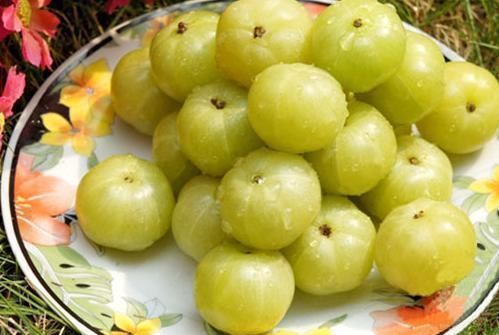 余甘果|南方特有的几种水果,作为南方人也认不出,北方人连听都没听过