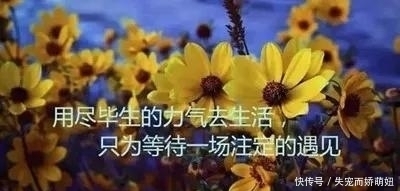 输不起|余生,不要去爱这样的情人,你输不起、伤不起、爱不起