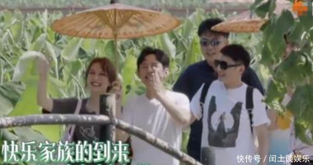 背景|《向往》本季最尴尬嘉宾,摘不熟西瓜、难插话,沦为人肉背景板