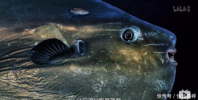  视效|仅4个人，拍出了今年最顶级的视效大片