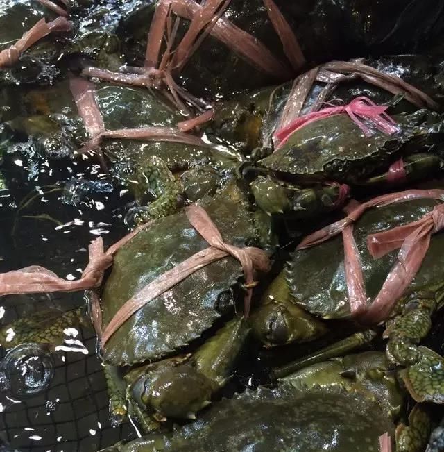 海鲜|世界上65种珍奇海鲜,贝爷都不敢说全部吃过,你吃过几种