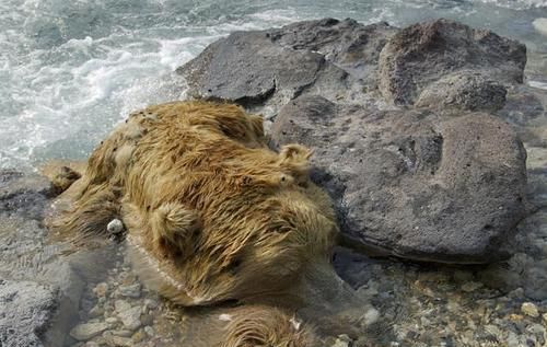 世界|世界上神秘的“四大禁地”,充满未知危险,科学家现在难以解释