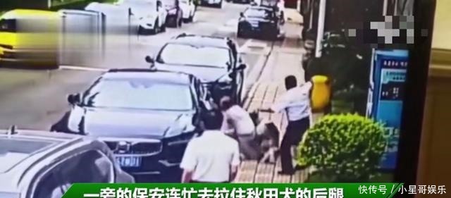  塑料桶|大力秋田犬发疯扑倒过路大爷撕咬，保安两次出手，拿着塑料桶猛锤