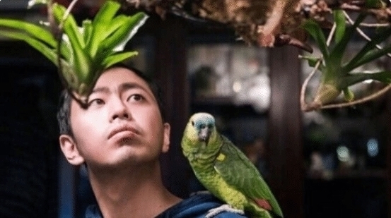 参加|那些参加过《最强大脑》的天才们,后来都去做什么工作了说出来你可能不信