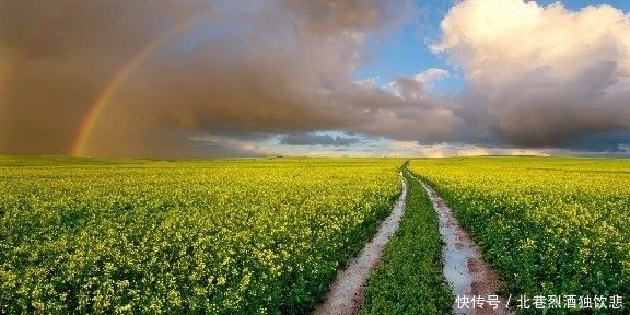 喜欢你|最优雅的人生哲理句子,短促而深情,不禁红眼