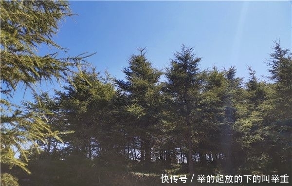 目睹|登临五台山旭云寺 目睹最美日出日落