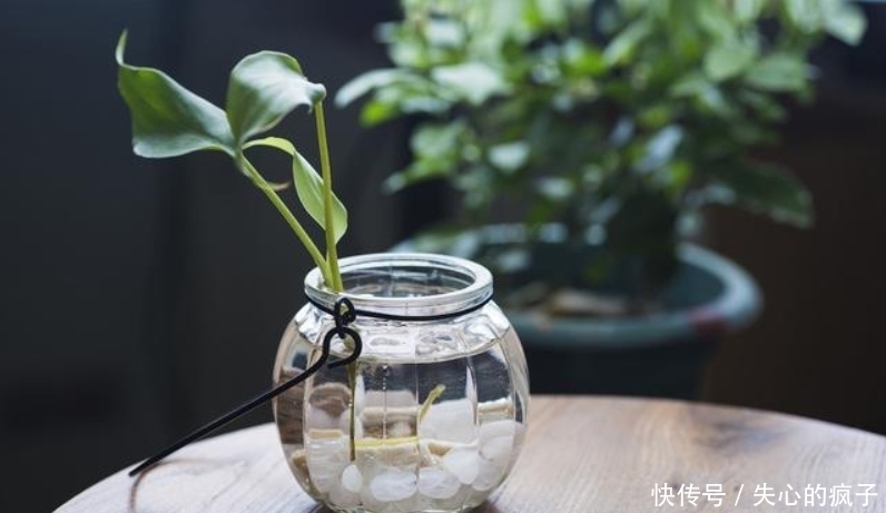 遍地|9月运势红彤彤,“财神”大步到门前,日子今非昔比,金银遍地!